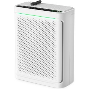 VOOPNU Smart Purifier with Display
